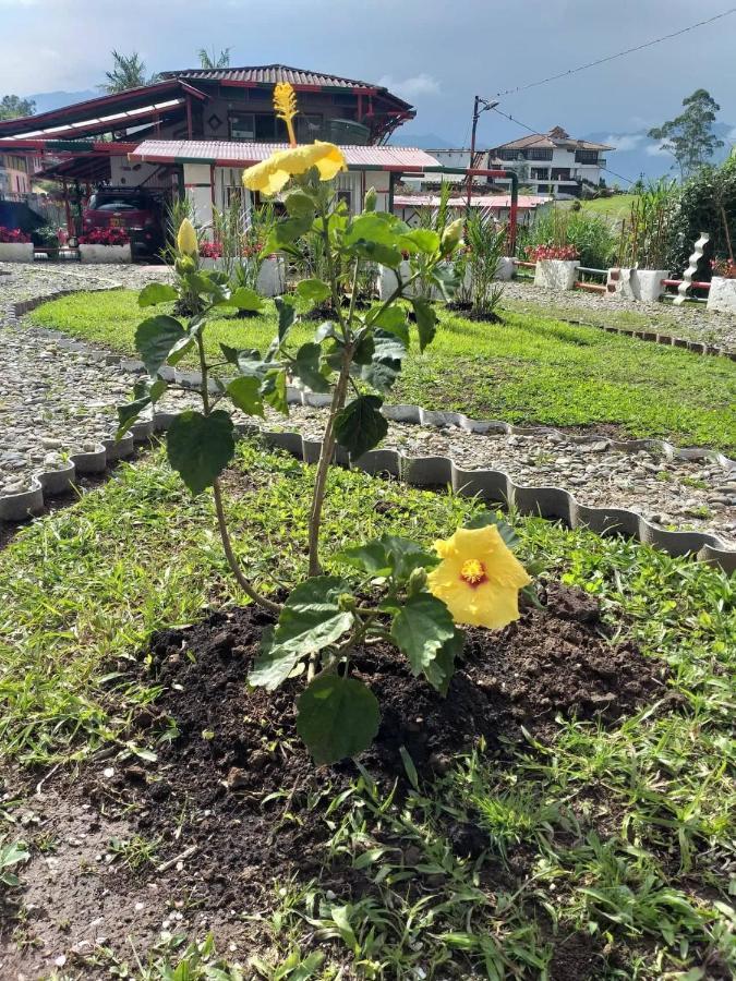 Campestre La Pastora *